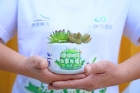 这个植树节，除了种树，我们还种...