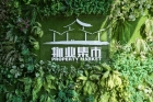 线上线下“花”式助农！横琴人买年花看这里！