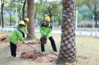 “植”入盎然生机！这个春天，“城市园丁”在忙什么？