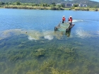 打捞水草、复绿海堤、“智”守水域安全……这些滨水空间有新变化→